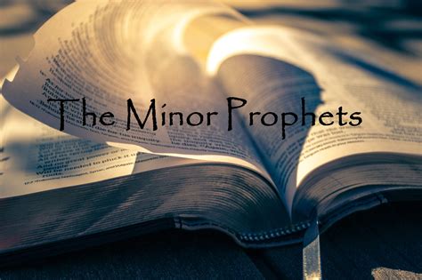 Image result for Minor Prophets