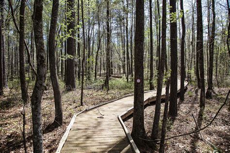 Fox Creek at Lake Wedowee - Alabama Birding Trails