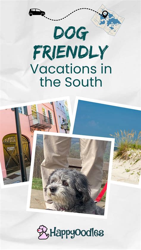 Top Dog Friendly Vacations in the South USA!