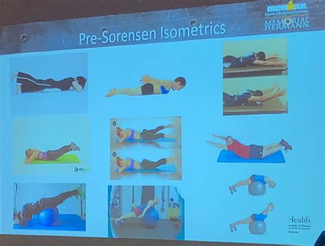 Back Extensor Muscles 的图像结果