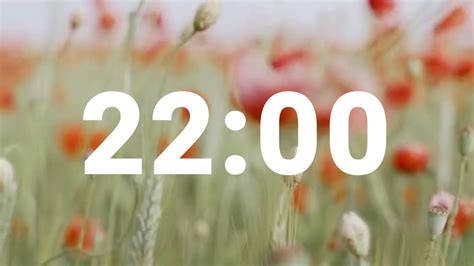 22 Minute Timer with Relaxing Music and Alarm, Countdown Clock for ...