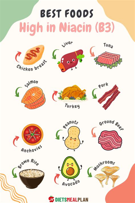 Top Food Sources For Niacin On A Plant Based Diet