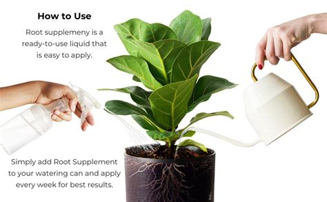 ZEENNY FLORA Plant Booster For Speed Growth, Organic Fertilizer For ...