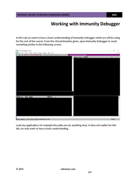 Image result for Immunity Debugger