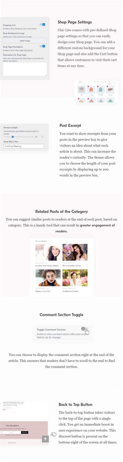 Chic Lite WordPress Theme 的图像结果