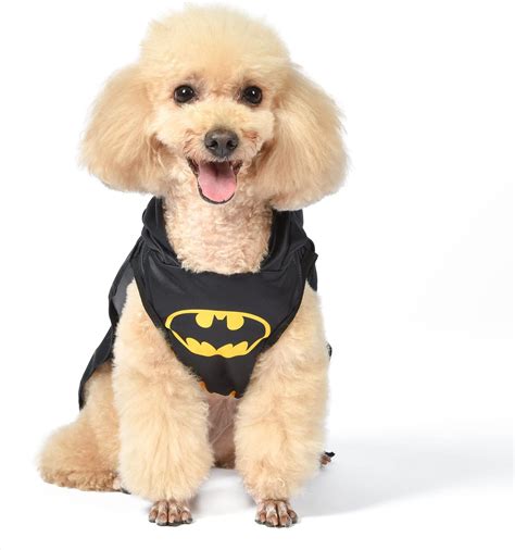 Amazon.com : DC Comics Batman Dog Costume, Size Medium | Best DC Comics ...