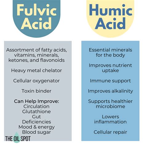 Fulvic Acid – Dory Doyle