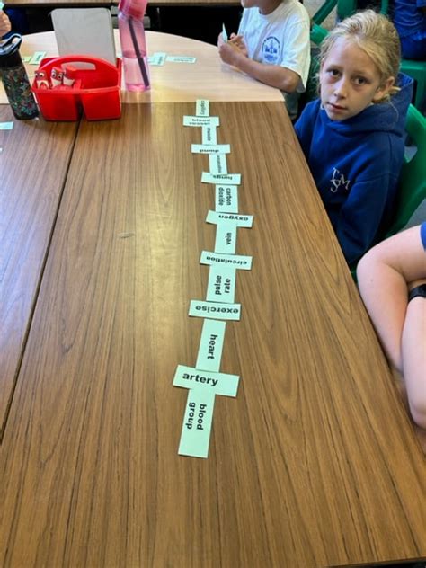 Free Science Lessons Blood 的图像结果