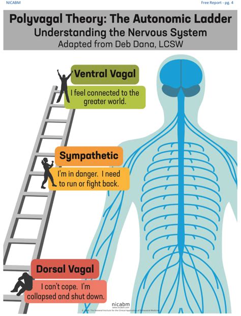 Image result for Autonomic Ladder