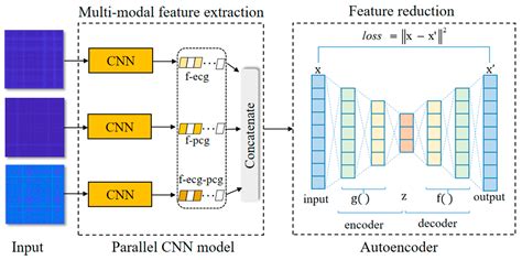 Coronary Artery Disease Detection Based on a Novel Multi-Modal Deep ...