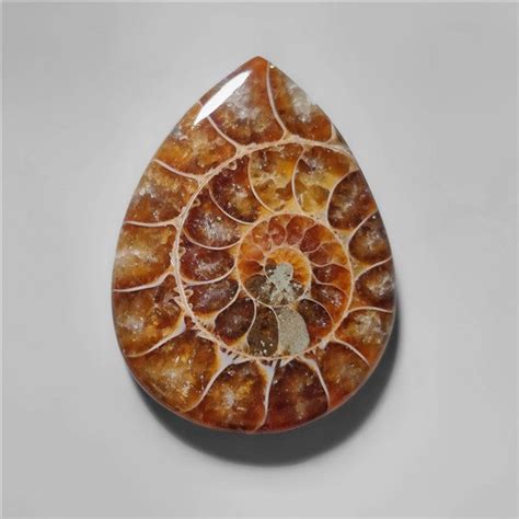 Buy Ammonite Fossil Cabochon N10280 Online at Gemstonesforsale