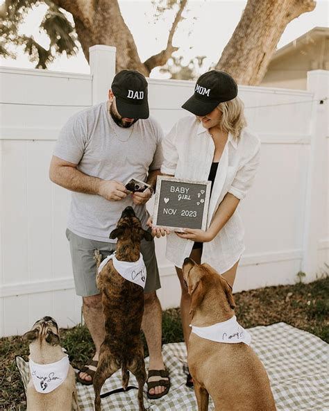 21+ *Actually Adorable* Pregnancy Announcements with Dogs (2023) | Dog ...