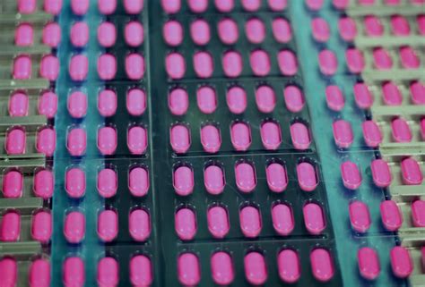 Primer Manufacturing Process 的图像结果