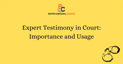 Image result for Expert Testimony Examples