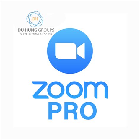 Zoom Pro Tutorial 的图像结果