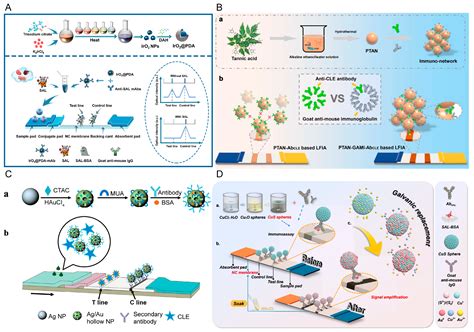 Paper-Based Fluidic Sensing Platforms for β-Adrenergic Agonist Residue ...