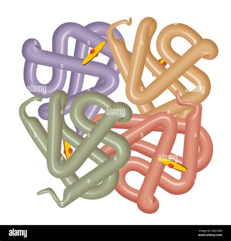 Oxygen hemoglobin Cut Out Stock Images & Pictures - Alamy
