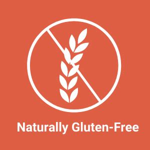 True Elements Steel Cut Oats 1kg - Gluten Free Oats | Cereal for ...