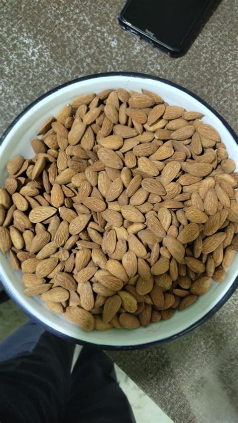 ALMOND KERNEL | Hindustan Foreign Traders