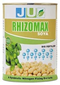 Rhizobium Bacteria Based bio Fertilizer (30 KG) : Amazon.in: Garden ...