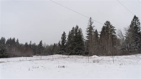 Overnight lows below 20 degrees forecasted for Bellingham, NWS extends ...