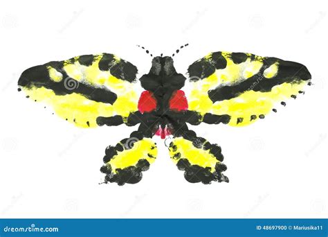 Tutorial Insect Wings Acrylic 的图像结果