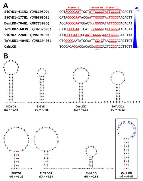 Insights into Emerging Begomovirus–Deltasatellite Complex Diversity ...