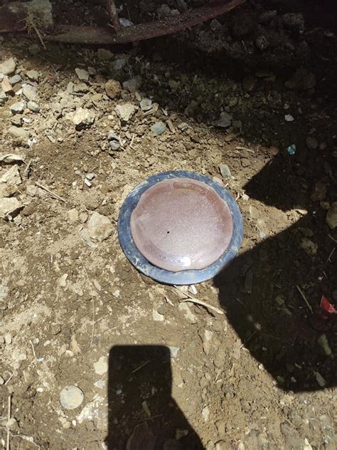 Image result for Apollo Pest Control