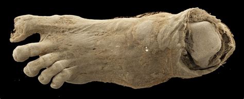CT scan reveals what’s been hidden inside Egyptian mummy for 2,000 ...