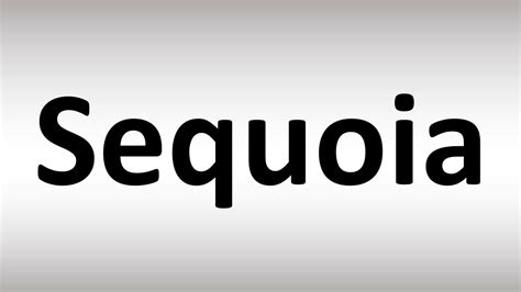 How to Pronounce Sequoia - YouTube