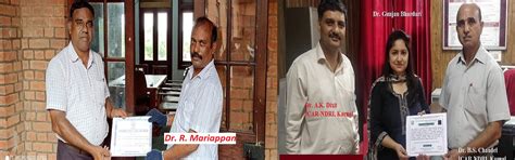 The Society of Economics and Development