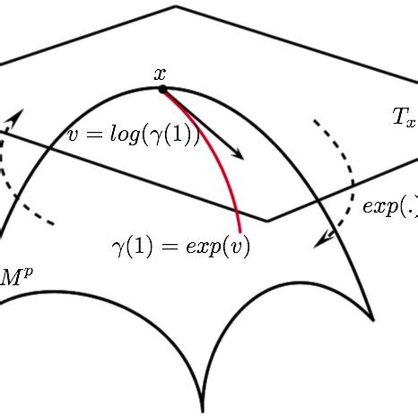 Image result for Exponential Function Concept Map