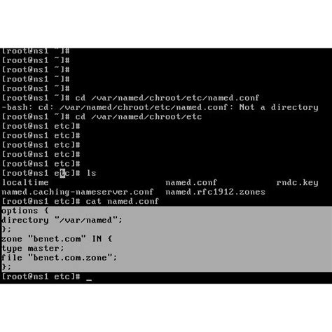 Chroot Tutorial 的图像结果