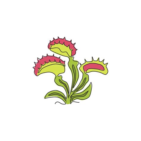 Venus Fly Trap Cartoon Images at Hattie Branch blog