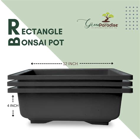 GREEN PARADISE® Rectangle Bonsai Plastic Pot Premium Quality Lightweig ...