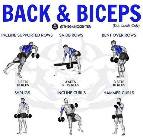 Pin by Coach Daniela Quiñones on full body workout | Back and bicep ...