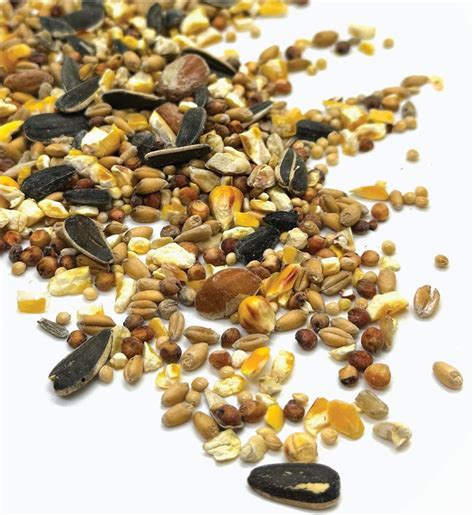 For Everybirdy Gourmet Wild Bird Food Blend, Wild Bird Seed Mix with ...