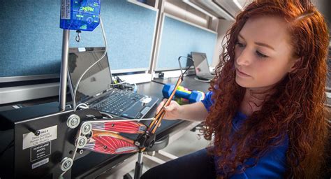 Biomedical Engineering PhD Programs 的图像结果