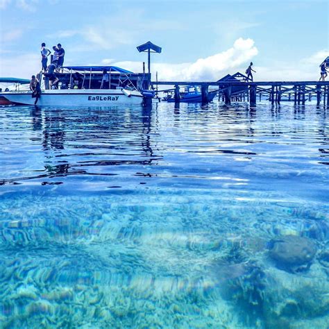 ARBOREK VILLAGE (2025) All You Need to Know BEFORE You Go (with Photos ...