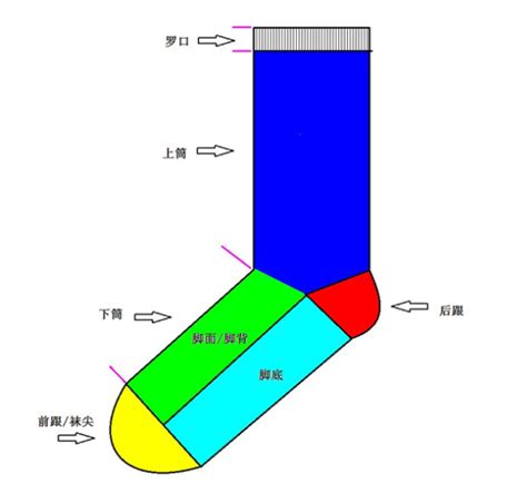 定制袜子时如何测量袜子尺寸？ - 俊美隆袜业官网