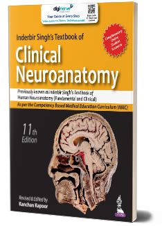 JaypeeDigital | Cerebral Hemispheres