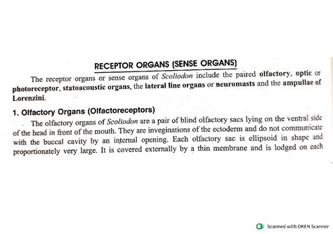 Sense organs of scoliodon - Chordates and - Studocu
