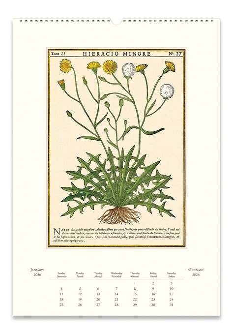 Cavallini Calendars & Planners | Paper Source