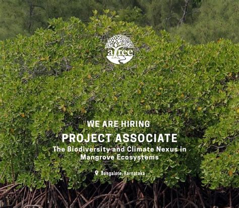 ATREE is looking for a Project Associate to Join Project on Mangrove ...