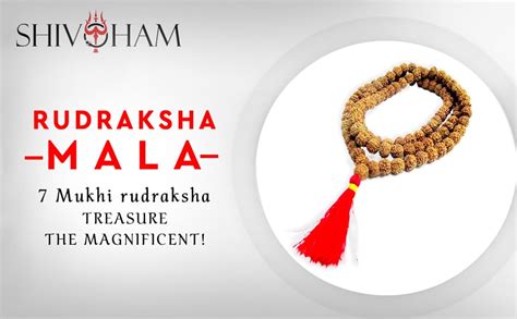 SHIVARATNA 7 Mukhi Rudraksha Mala 108+1 Beads Certified For Unisex ...