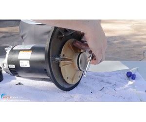 Image result for Replace Motor On Sta-Rite Pool Pump