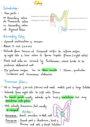 Case Study 33-Year-Old Female Presents with Chronic SOB and Cough ...