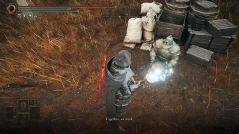 Elden Ring: Moore Quest Walkthrough