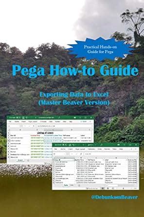 Buy Pega How-to Guide: Exporting Data to Excel (Master Beaver Version ...