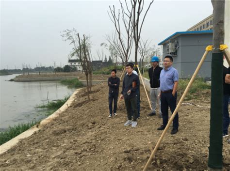 扩大杭嘉湖南排工程（嘉兴部分）河道工程绿化施工II标建设